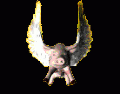 svin2.gif