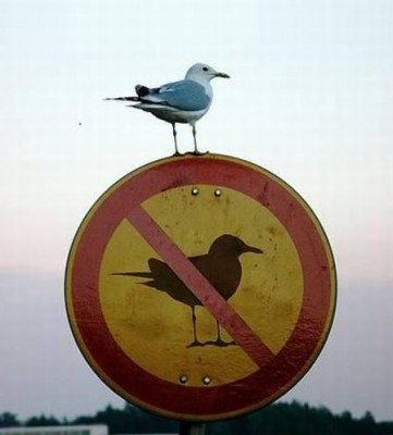 Photopodborka_040.jpg (23.74 КБ) 1978 просмотров Photopodborka_040.jpg