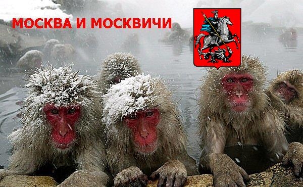 moskovities.JPG