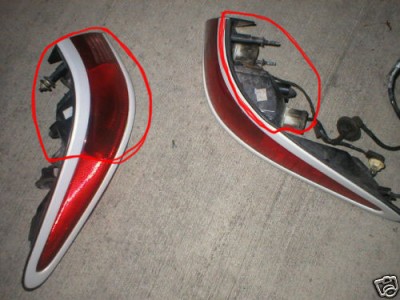 tail 97.jpg