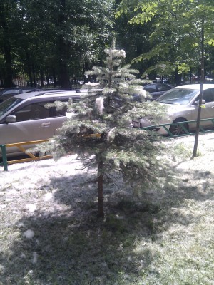 2010-06-03 12.28.46.jpg