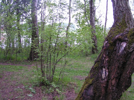 PICT0439.JPG