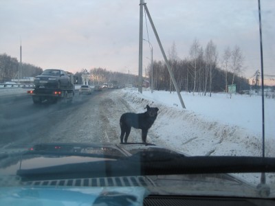 Это был последний кадр после............<br />Но об этом позже, в кадре есть ТОТ кто мне поможет. Но до вечера пусть это останется в тайне.)