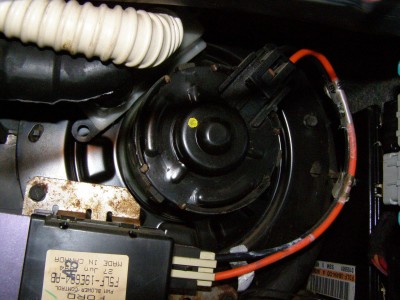 PB120356.JPG
