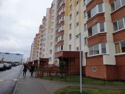 DSC01466.jpg