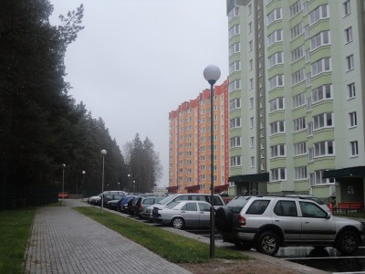 DSC01460.jpg