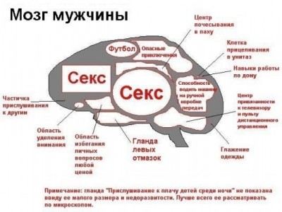 x_e7318a10.jpg