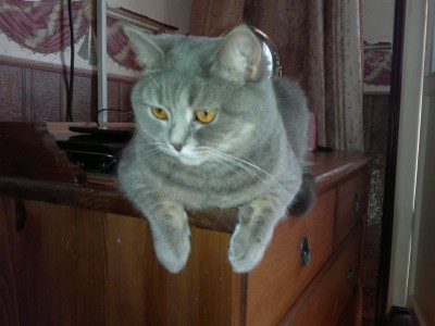22072012073.jpg