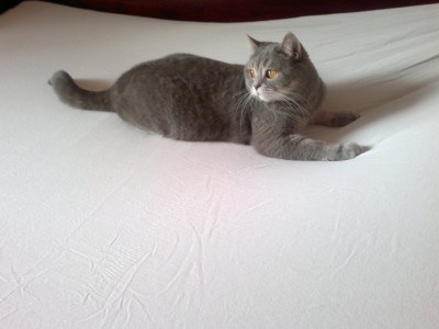 19042012047.jpg