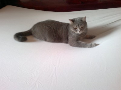19042012046.jpg