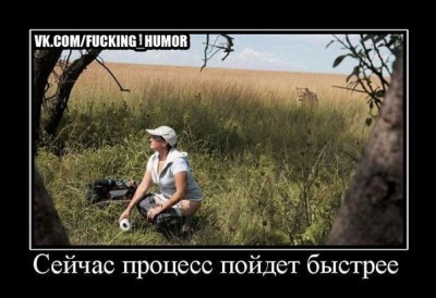 хороший день!