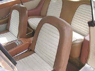 InteriorDS[1].jpg