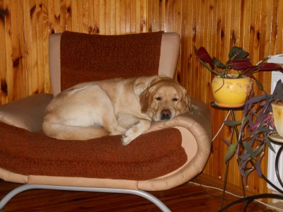 DSCN0070.JPG