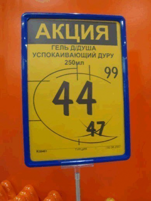 Image-1.png