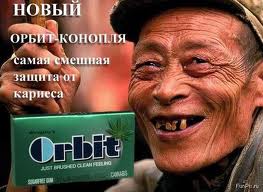 загруженное (1).jpg