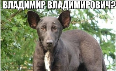 Image-1.png