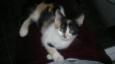 2013-10-16-9596.jpg