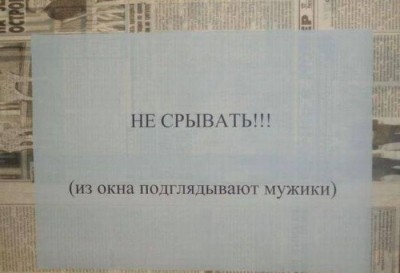 7114154372.jpg