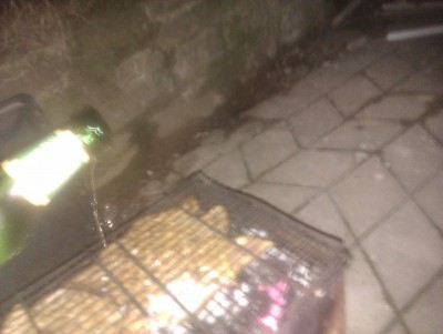 IMAG0236.jpg