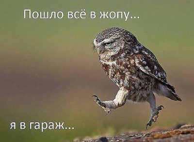 getImage (12).jpg