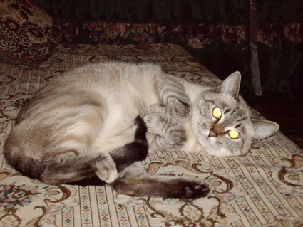 IMGP0567.JPG