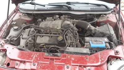 20140407_140507.jpg