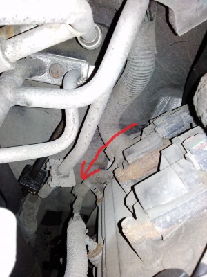 CAM00811.jpg