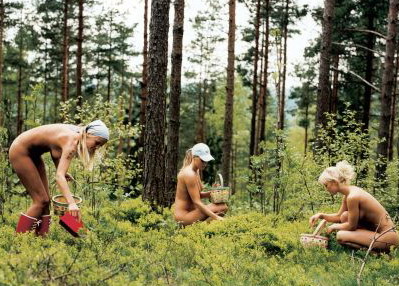 черника.jpg
