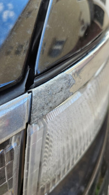 Изображение WhatsApp 2024-10-25 в 18.38.33_8b52c139.jpg