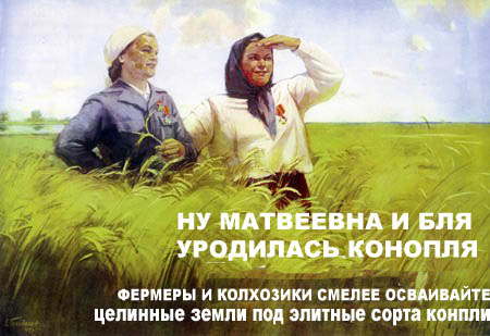 243q2p4.jpg