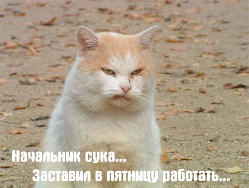 Пятница...
