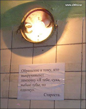47959bn.jpg