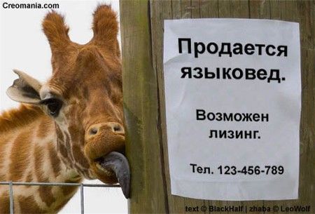 14_goodcreo_27696.jpg