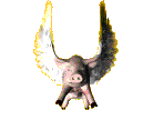 svin2.gif