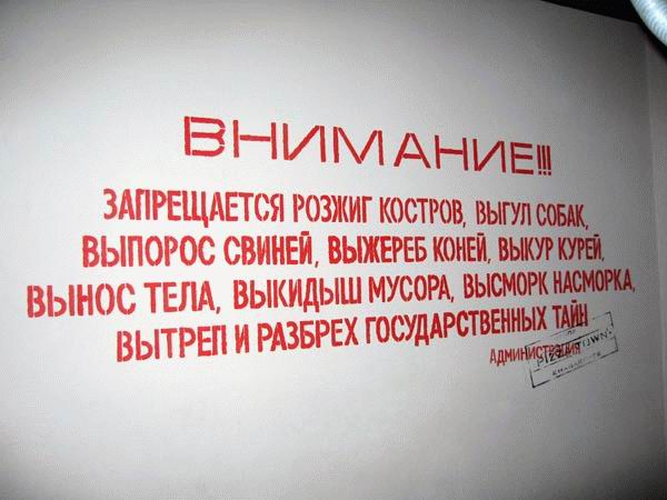 3150_0.jpg