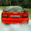 Dima burnout-new.gif