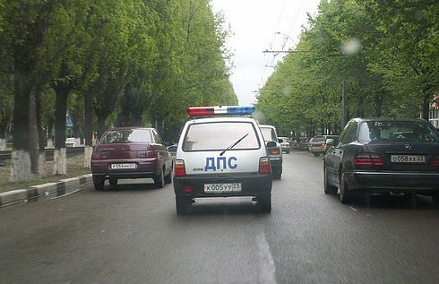 34019479.jpg