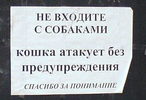 29_podborka_67.jpg