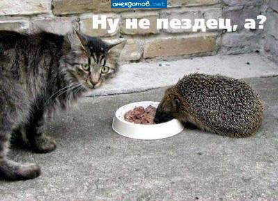 b_h827829.jpg