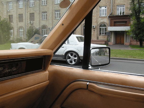 PICT0127.gif