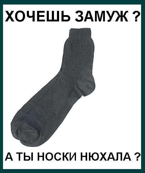 nooss.jpg