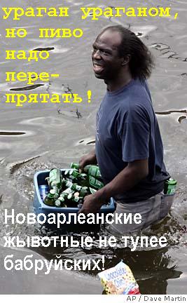 554637_13224.jpg