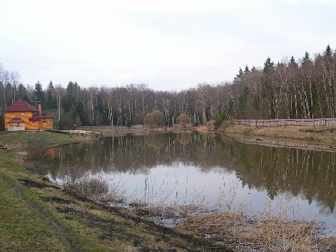 PICT0379.JPG