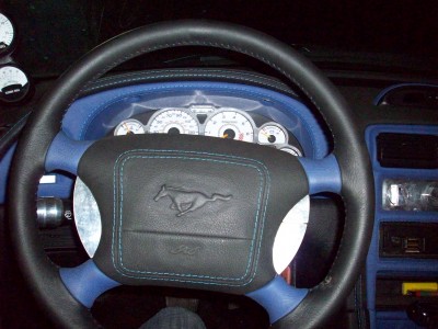 мустанг 061.JPG