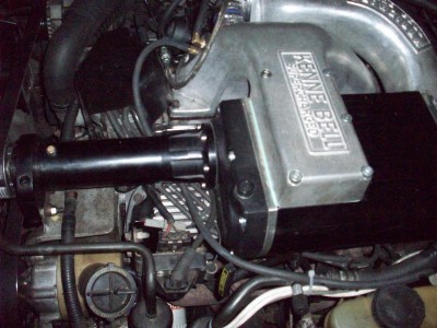 мустанг 055.JPG