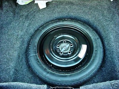 c455_12.jpg
