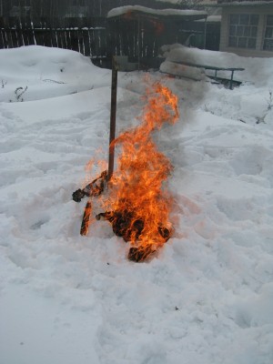 IMG_3002.JPG
