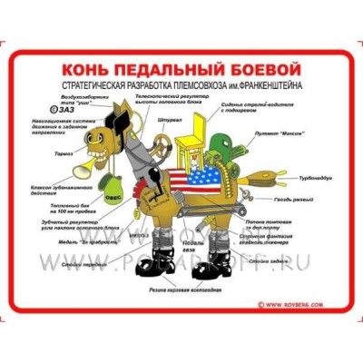 000035800_000035853_sizus600.jpg (176.34 КБ) 1848 просмотров 000035800_000035853_sizus600.jpg