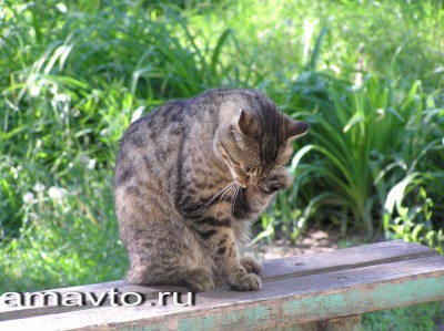 1c.jpg (1.09 МБ) 2666 просмотров 1c.jpg