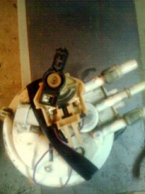 IMG0003A.jpg
